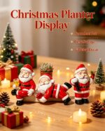 Funny Santa Claus Resin Planter Set
